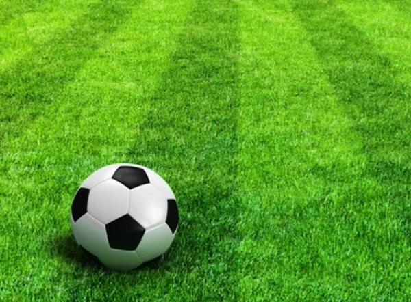 Газон для футбола: развеиваем мифы