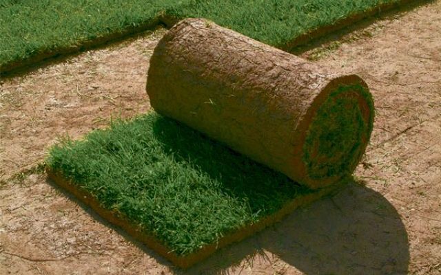 Как постелить искусственный газон Как постелить искусственный газон